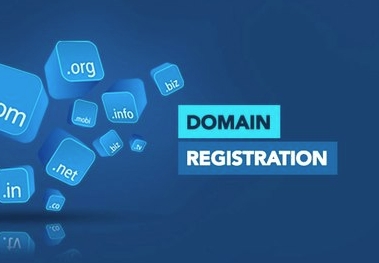 Domain Name Registration Domain Name Registration